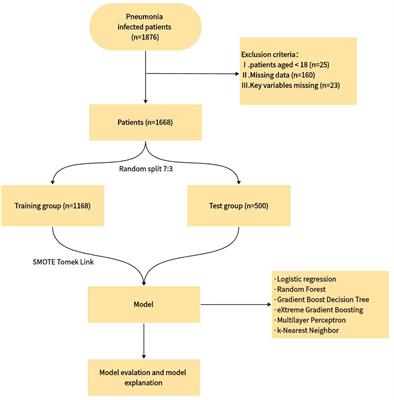 Interpretability-based machine learning for predicting the risk of death from pulmonary inflammation in Chinese intensive care unit patients
